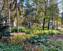 Кажется, последний день лета на Среднем Урале выпал на 23 сентября