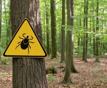 Думаете неделя была холодная?