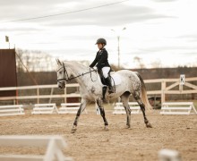 Воспитанницы клуба Добрая лошадь привезли 13 медалей с соревнований!