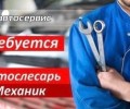 В автосервис требуется автомойщик и автомеханик