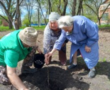 В субботу, 17 мая, в Курманском парке высадили яблоневую аллею