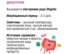 По данным Роспотребнадзора, ежегодно регистрируются десятки тысяч случаев острых кишечных инфекций, особенно в летний период