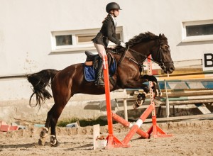 Воспитанницы клуба Добрая лошадь привезли 13 медалей с соревнований!