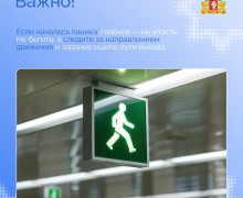 В новогодние каникулы каждый из нас наверняка хотя бы раз окажется в многолюдном месте – в театре, общественном транспорте, в ледовом городке или на катке