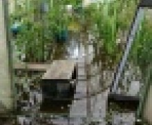 Заречный под водой: как дождливое лето изменило жизнь города и окрестностей