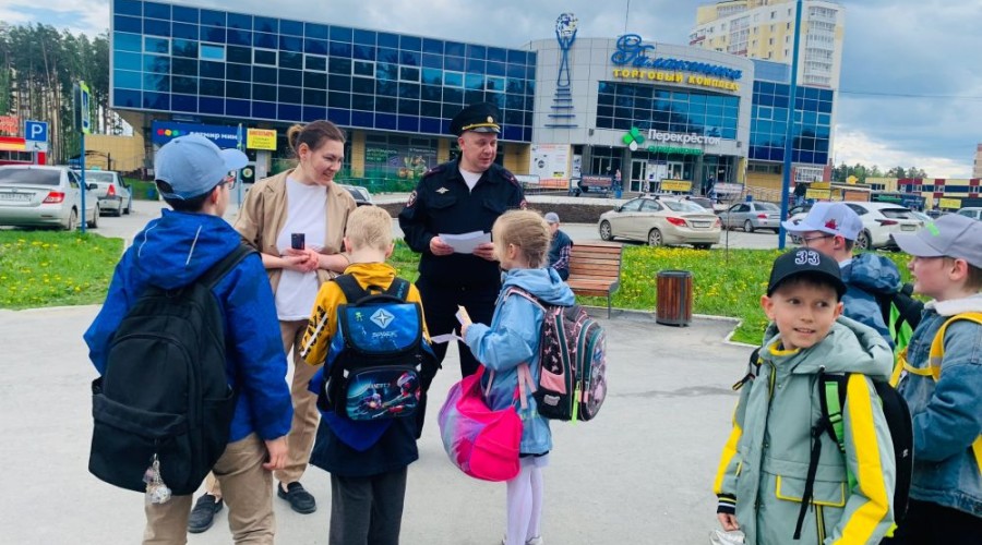 Сотрудники Госавтоинспекции провели профилактическое мероприятие вблизи пешеходного перехода