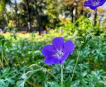 Кажется, последний день лета на Среднем Урале выпал на 23 сентября