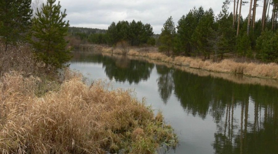 По данным Росгидромета Пышма одна из самых грязных рек в стране