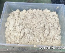 В Белоярском пресечена деятельность подпольной нарколаборатории