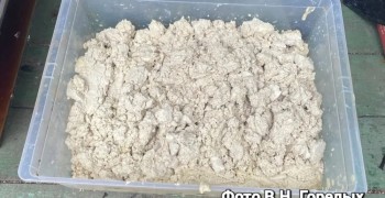В Белоярском пресечена деятельность подпольной нарколаборатории