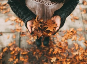 Зефирки, творчество и хлев с поросятами