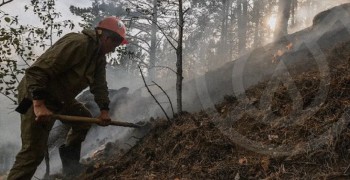 Нарушения особого противопожарного режима: сжигание мусора и травы лидируют