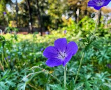 Кажется, последний день лета на Среднем Урале выпал на 23 сентября