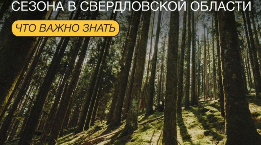 2 апреля — старт пожароопасного сезона