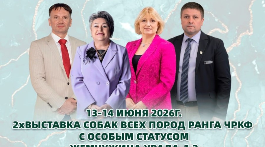 Дальние, но классные планы: летом в Заречном снова пройдёт большая выставка собак!
