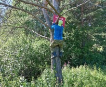 Воспитанники школьного лесничества Кедр помогли провести уборку на правом берегу водохранилища