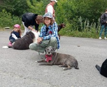 В Заречном прошёл четвёртый «Собачий переполох»