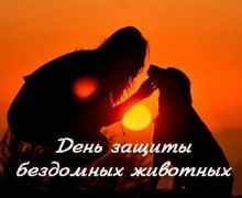 В Заречном отметили Международный день бездомных животных