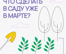 Начало весны: пора оживлять ваш сад