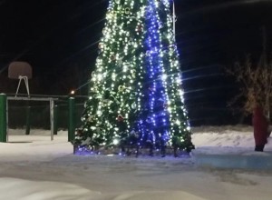 В с. Мезенском тоже появилась елочка