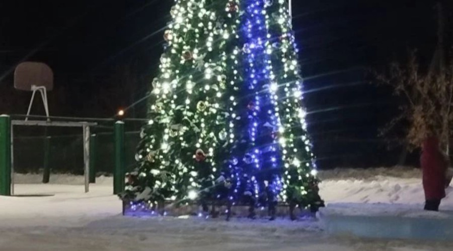 В с. Мезенском тоже появилась елочка
