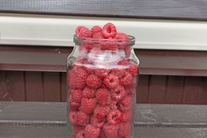 Продам малину