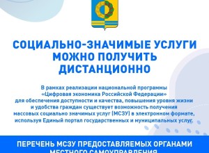 Перечень муниципальных услуг в Заречном: от вырубки деревьев до приватизации жилья