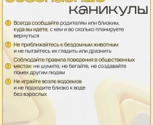 Ну вот и наступили первые каникулы