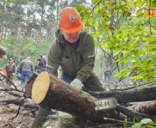 Шарташский лесной парк стал центральной площадкой всероссийского субботника «Зеленая Россия» в нашем регионе