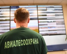 Почти 1,5 миллиона гектаров уральских лесов дополнительно охватили новыми камерами видеонаблюдения