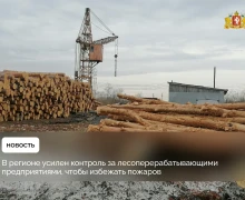Сотрудники Минприроды Свердловской области усилили контроль за лесоперерабатывающими предприятиями в связи со стартом пожароопасного сезона