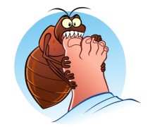 В МСЧ №32 уже можно сделать прививку от укуса клеща