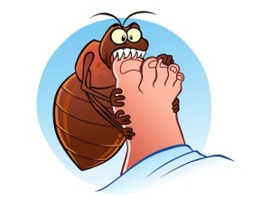 В МСЧ №32 уже можно сделать прививку от укуса клеща