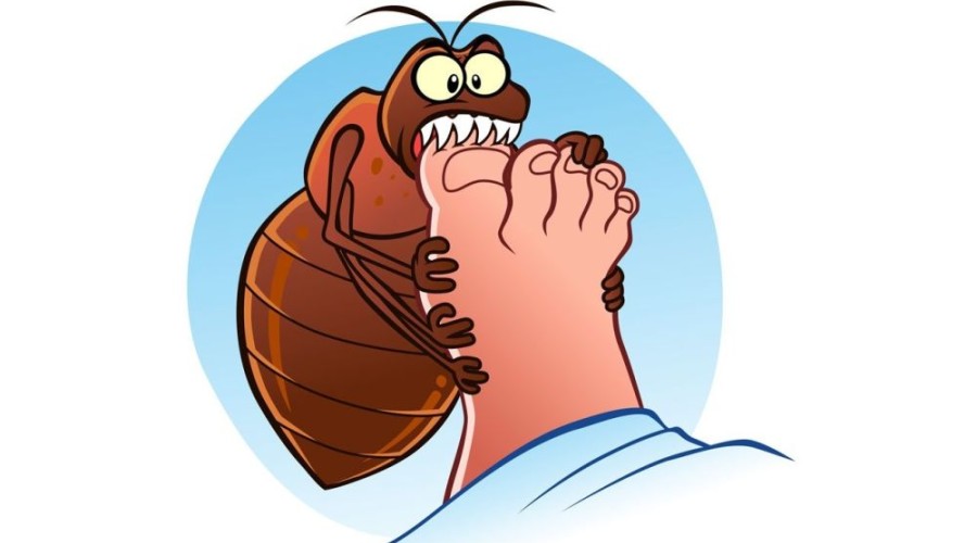 В МСЧ №32 уже можно сделать прививку от укуса клеща