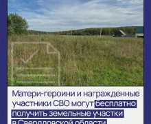 Матери-героини и участники СВО из Свердловской области смогут бесплатно получить землю