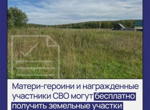 Матери-героини и участники СВО из Свердловской области смогут бесплатно получить землю