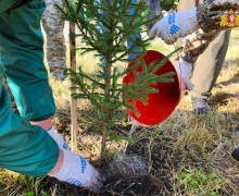 Шарташский лесной парк стал центральной площадкой всероссийского субботника «Зеленая Россия» в нашем регионе