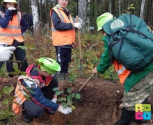 Больше 5 тысяч деревьев высадили в субботу, 6 сентября на территории Заречного
