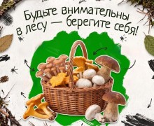 В лесах Свердловской области встречаются ядовитые грибы, опасные для здоровья