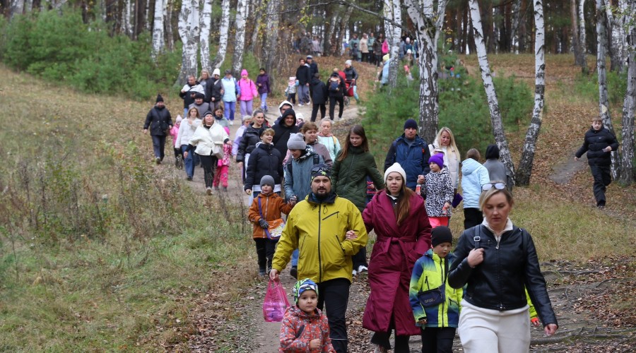 Отличный день для прогулки!