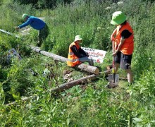 Воспитанники школьного лесничества Кедр помогли провести уборку на правом берегу водохранилища