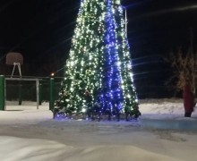 В с. Мезенском тоже появилась елочка
