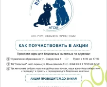 Одна из самых добрых общегородских акций - Пушистый атом - стартовала!