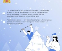 Свердловчане оформили в территориальных лесничествах покупку почти 13 тысяч елей и сосен, чтобы украсить свои дома к Новому году