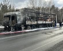 период с 17 марта по 23 марта 2025 года на территории обслуживаемой отделом Госавтоинспекции МО МВД России «Заречный» зарегистрировано 20 дорожно-транспортных происшествия