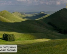 Подведены итоги конкурса «Красная ящерица – 2025»!