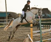 Воспитанницы клуба Добрая лошадь привезли 13 медалей с соревнований!