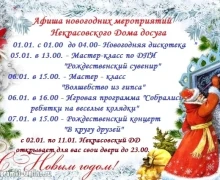 Собрали для вас интересное, что будет происходить в округе в новогодние каникулы