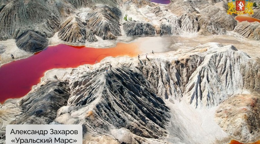 Подведены итоги конкурса «Красная ящерица – 2025»!