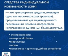 Весна на скорости: вперёд, но безопасно!